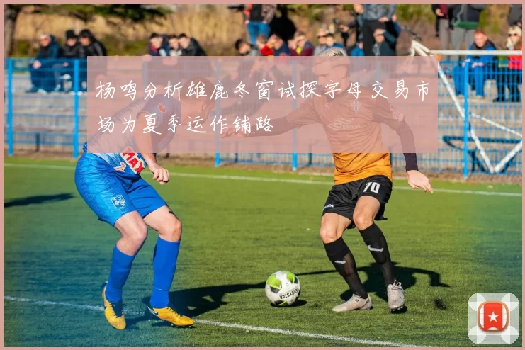 杨鸣分析雄鹿冬窗试探字母交易市场为夏季运作铺路